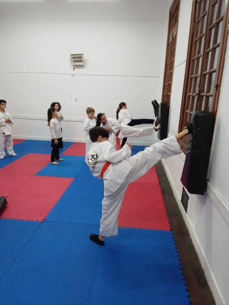 Artes Marciales