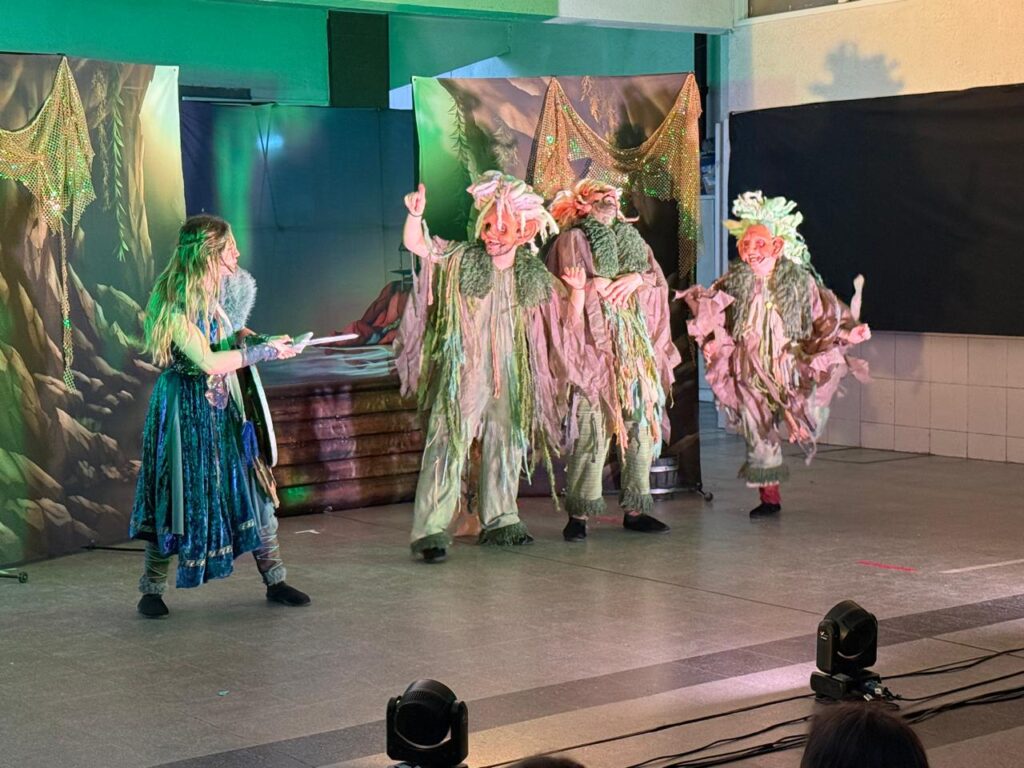 Obra de teatro Vikings – Nivel Primario